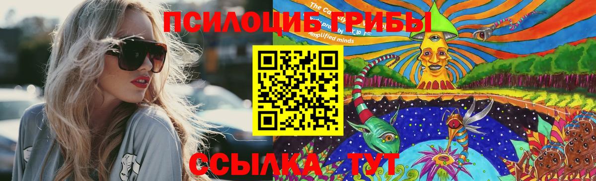 Псилоцибиновые грибы мухоморы Южно-Сахалинск