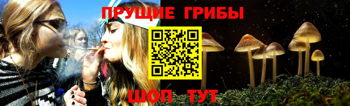 Южно-Сахалинск  Псилоцибиновые грибы Psilocybine cubensis  Псилоцибиновые грибы MAGIC MUSHROOMS  Вход с VPN 